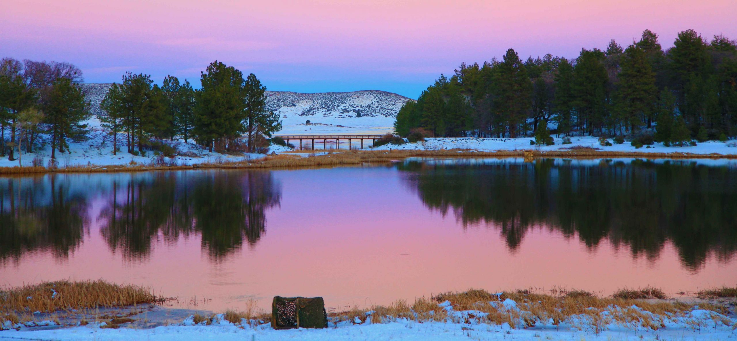 Things to do in Julian, CA Orchard Realty