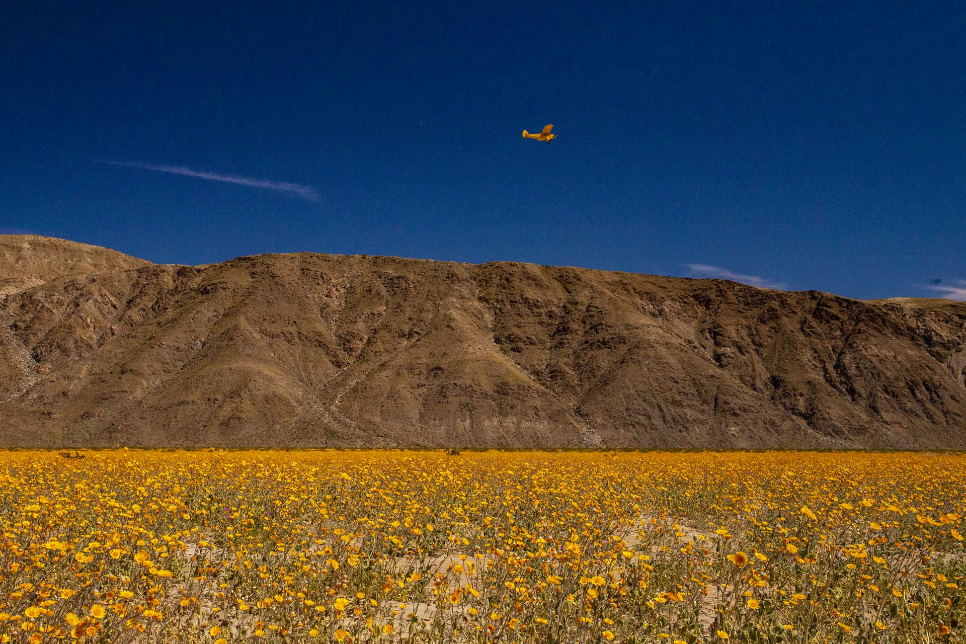 Julian, CA’s Springtime Charms