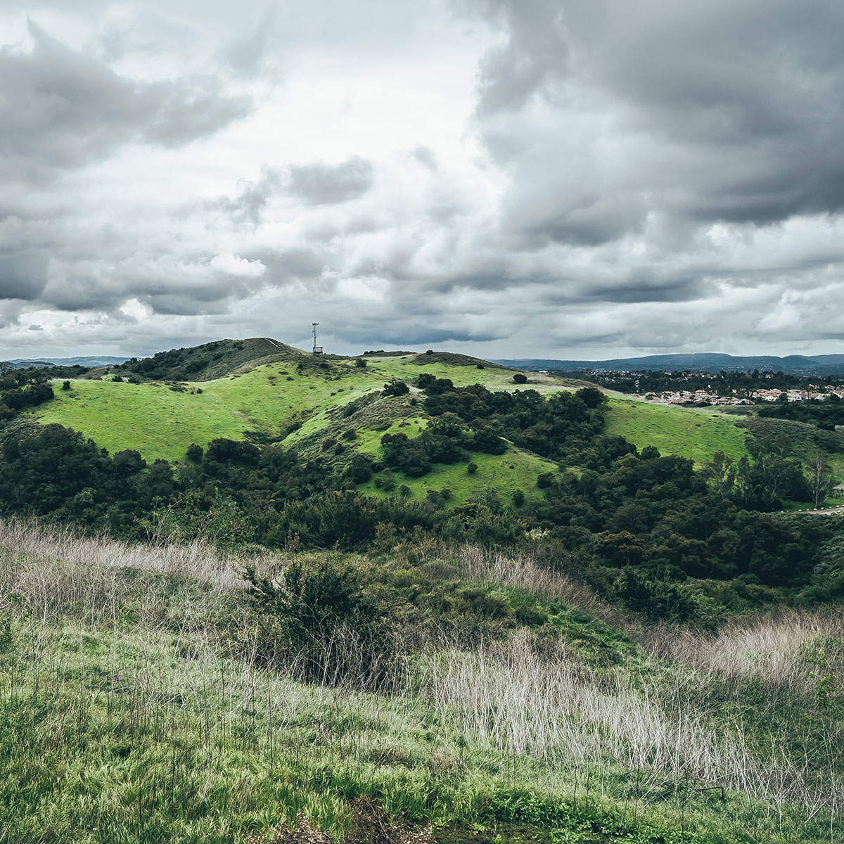 Hoskings Ranch