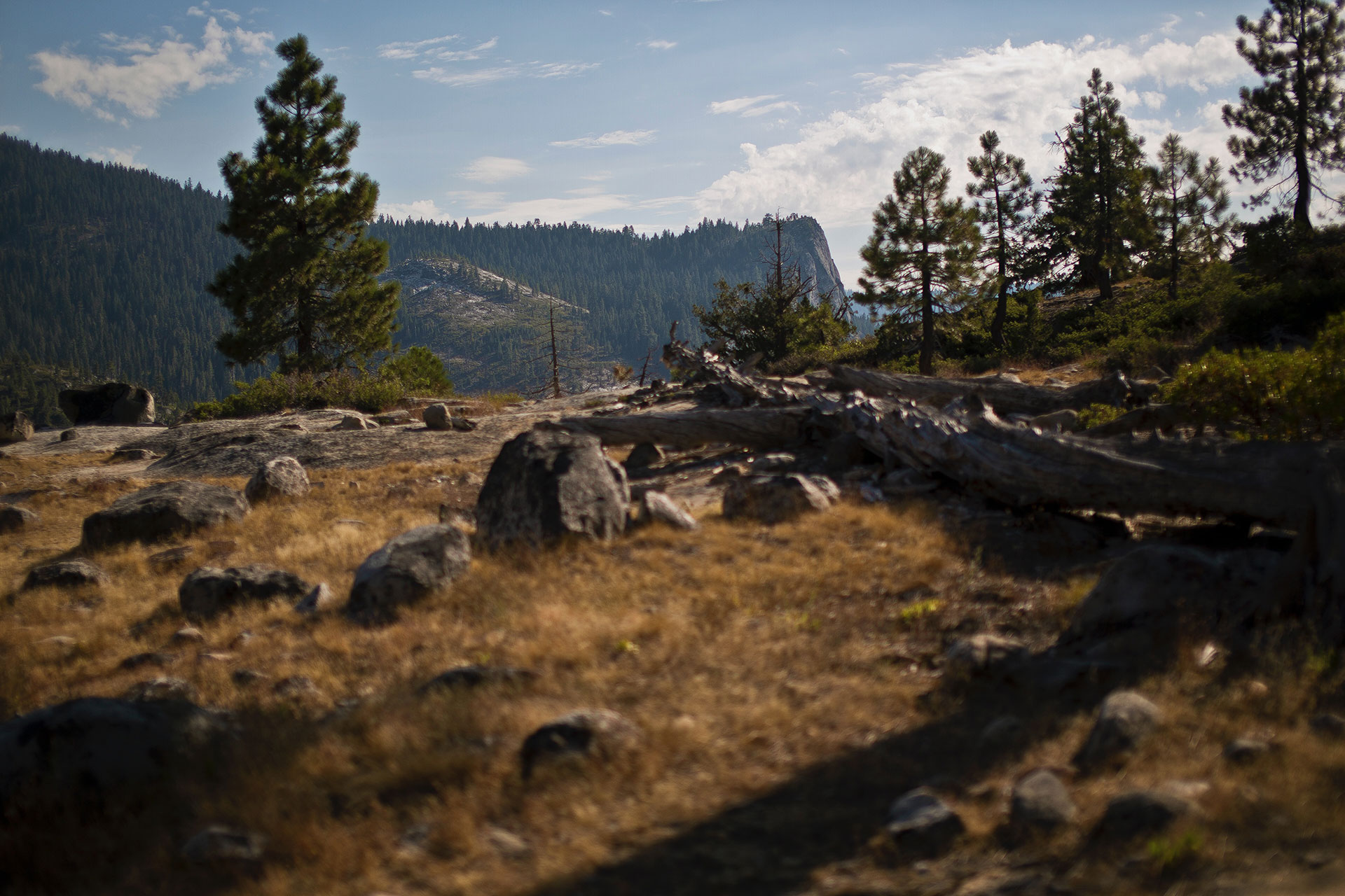 Mesa Grande Orchard Realty