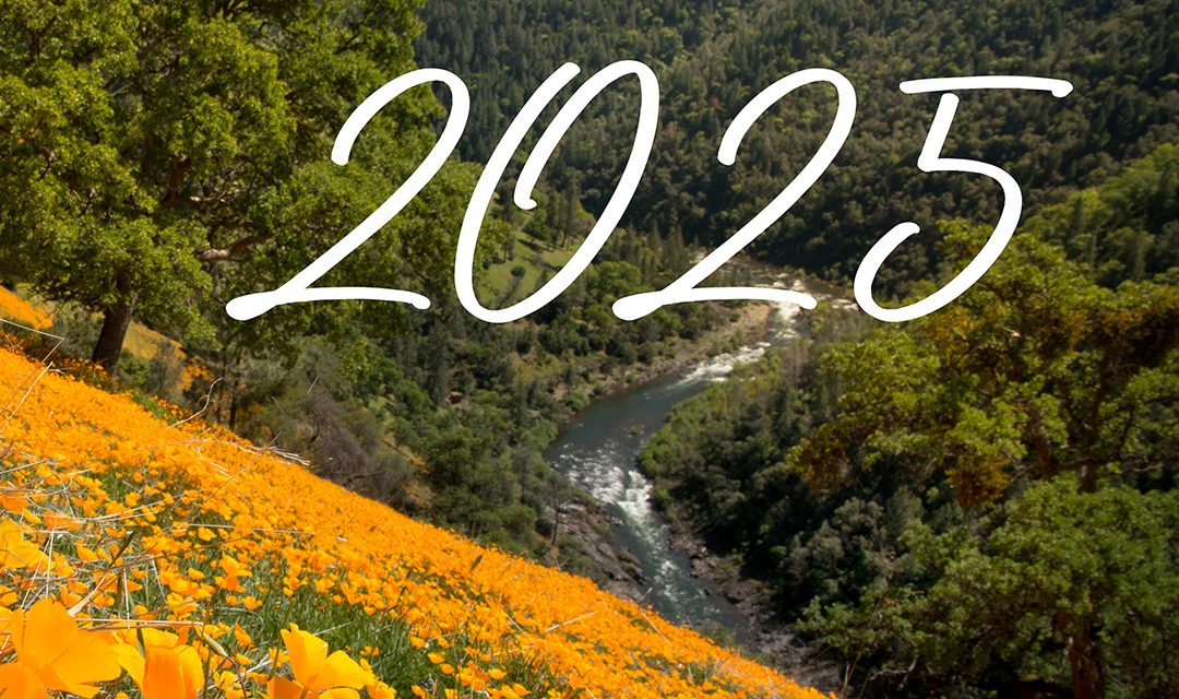 2025 Real Estate in Julian, CA – State of the Market